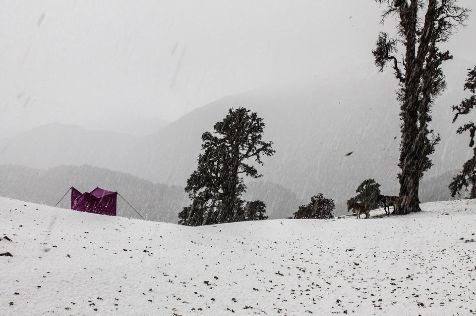 Photo of Braving a hailstorm in the Himalayas 3/22 by Nisha Reginald