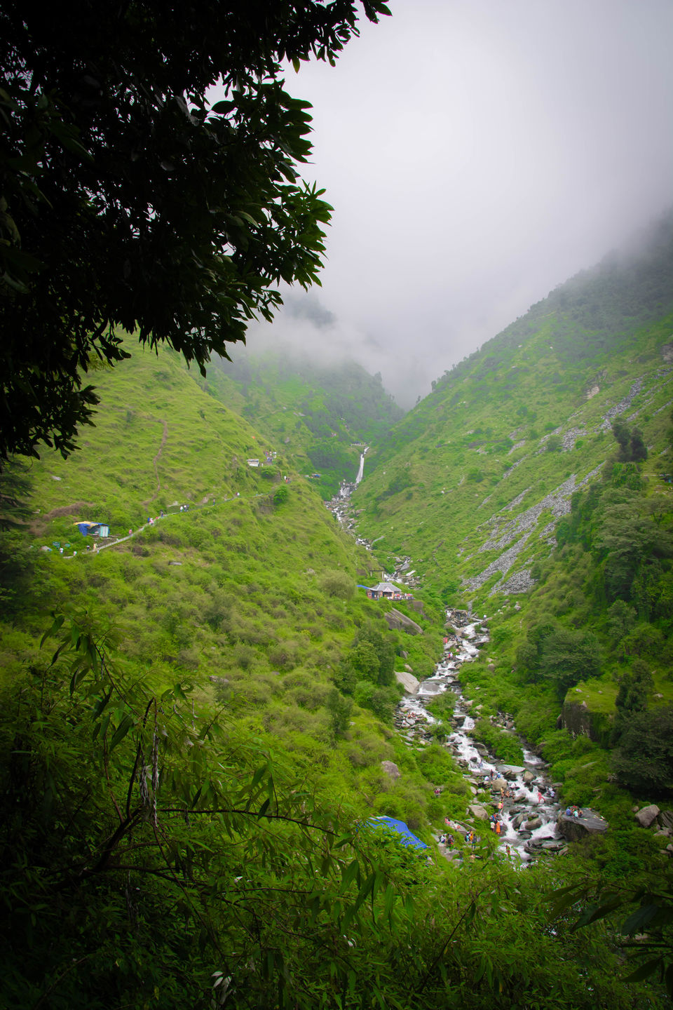 Photo of Triund - A walk above the clouds 5/14 by Ankur Kaushik