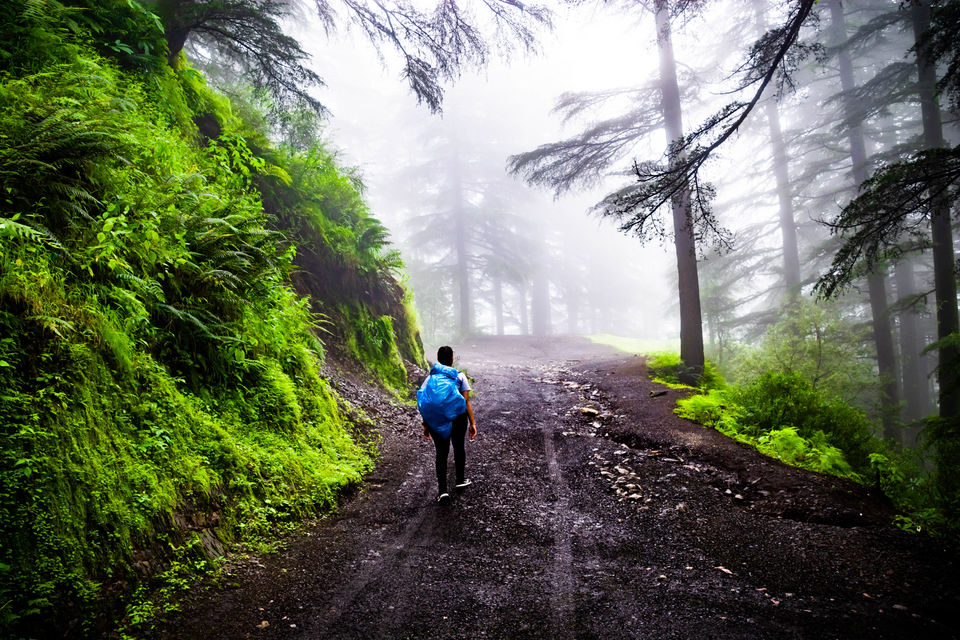 Photo of Triund - A walk above the clouds 8/14 by Ankur Kaushik