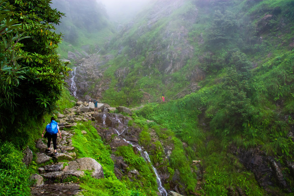 Photo of Triund - A walk above the clouds 9/14 by Ankur Kaushik