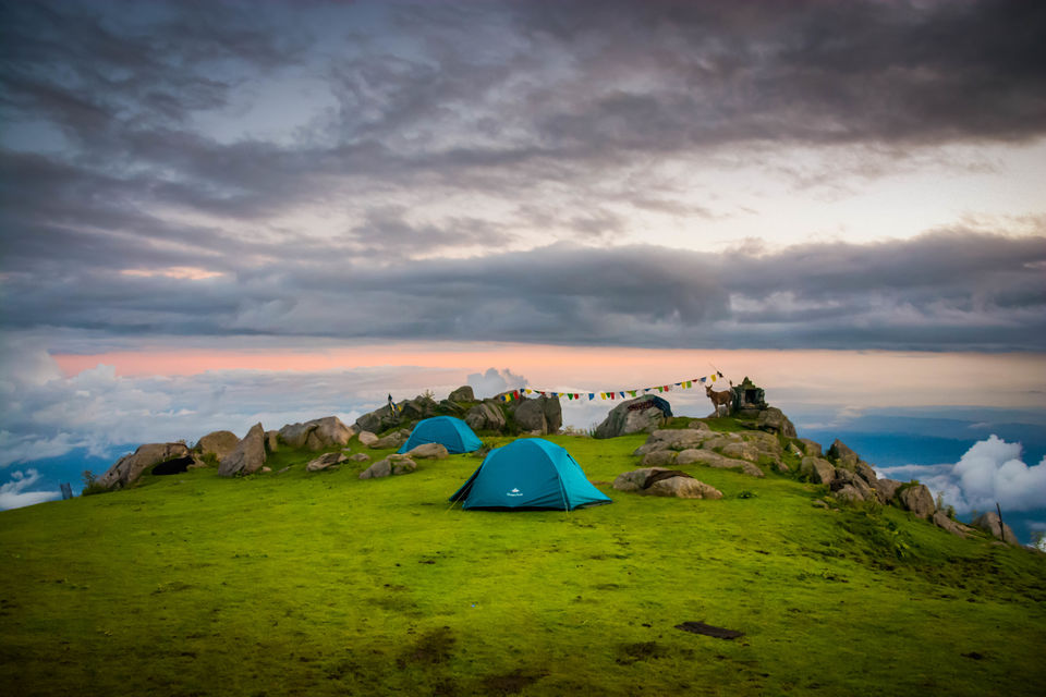 Photo of Triund - A walk above the clouds 12/14 by Ankur Kaushik