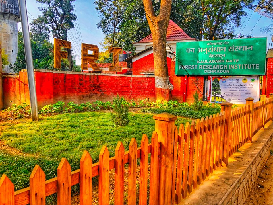 Photo of Exploring Dehra Dun through a Geologist's Eye . by PRIYANKA GAIKWAD