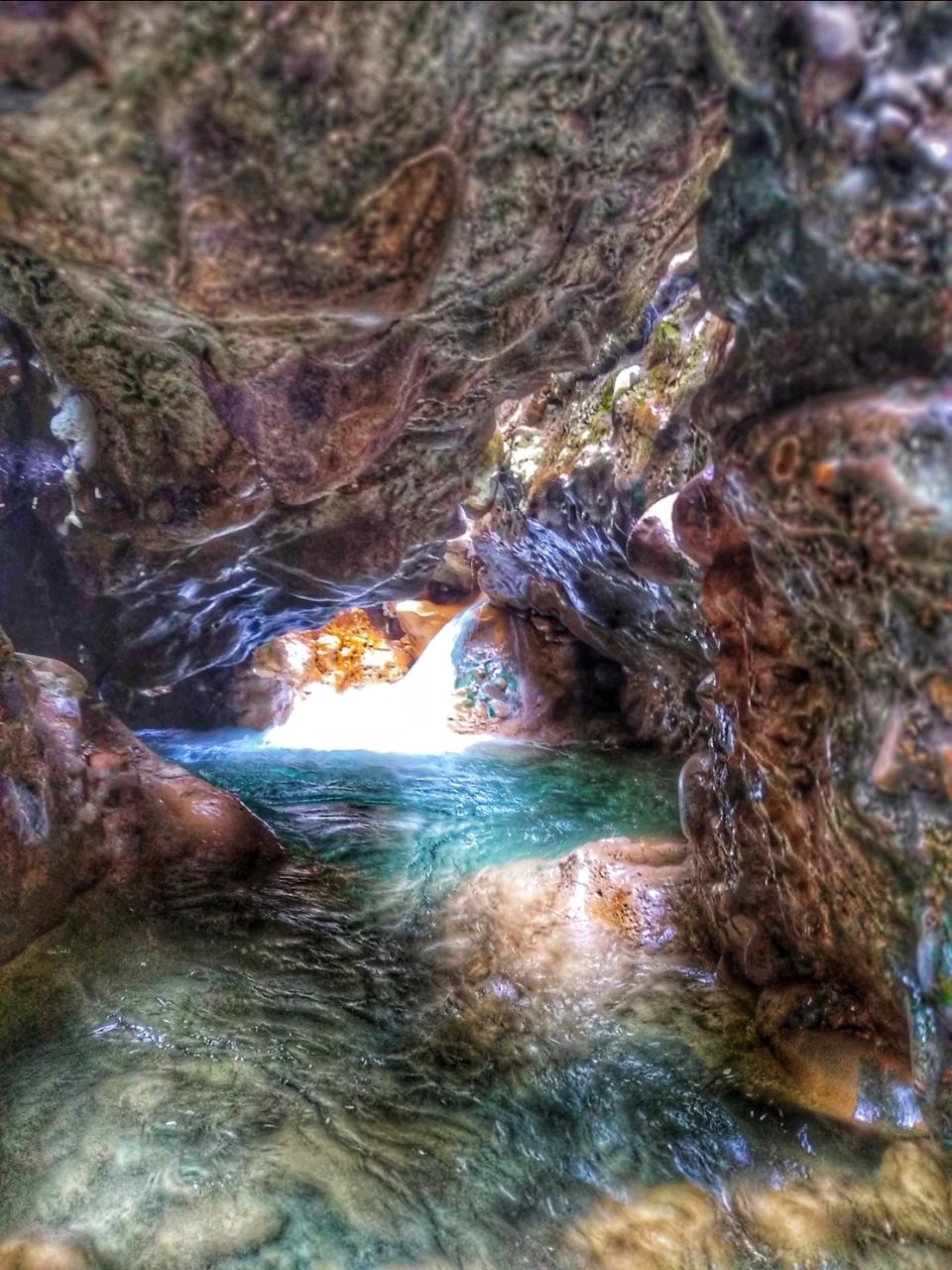 Photo of Exploring Dehra Dun through a Geologist's Eye . by PRIYANKA GAIKWAD
