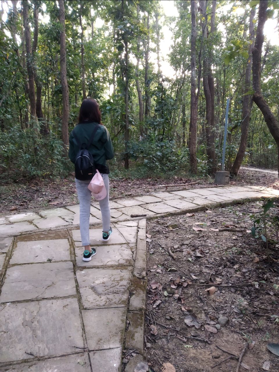 Photo of Exploring Dehra Dun through a Geologist's Eye . by PRIYANKA GAIKWAD