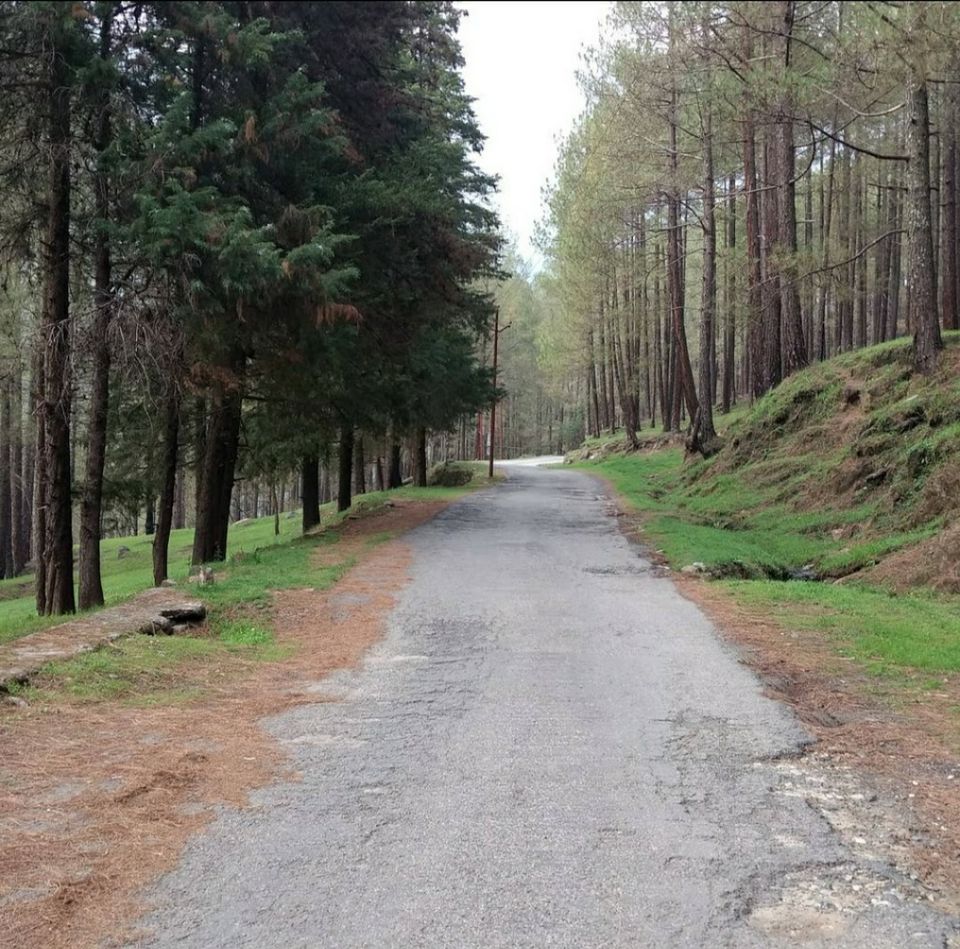 Photo of Exploring Dehra Dun through a Geologist's Eye . by PRIYANKA GAIKWAD