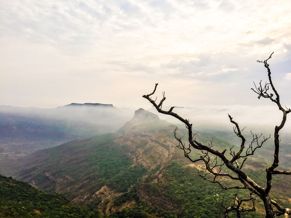 Photo of An Ancient Stronghold With Magical Fireflies (Rajmachi Trek) by Hima Jagadeesh