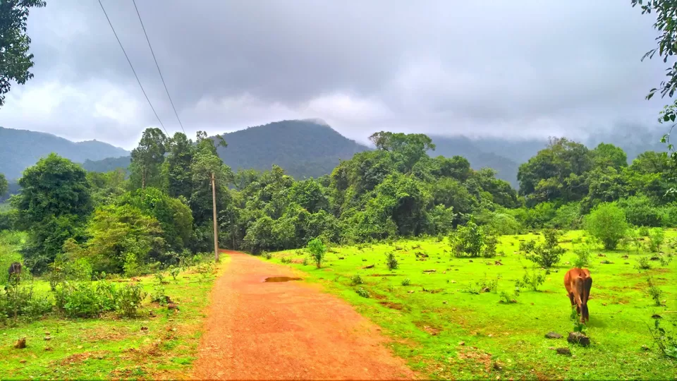 Photo of Kodachadri, Valur, Karnataka by Srinidhi Saralaya