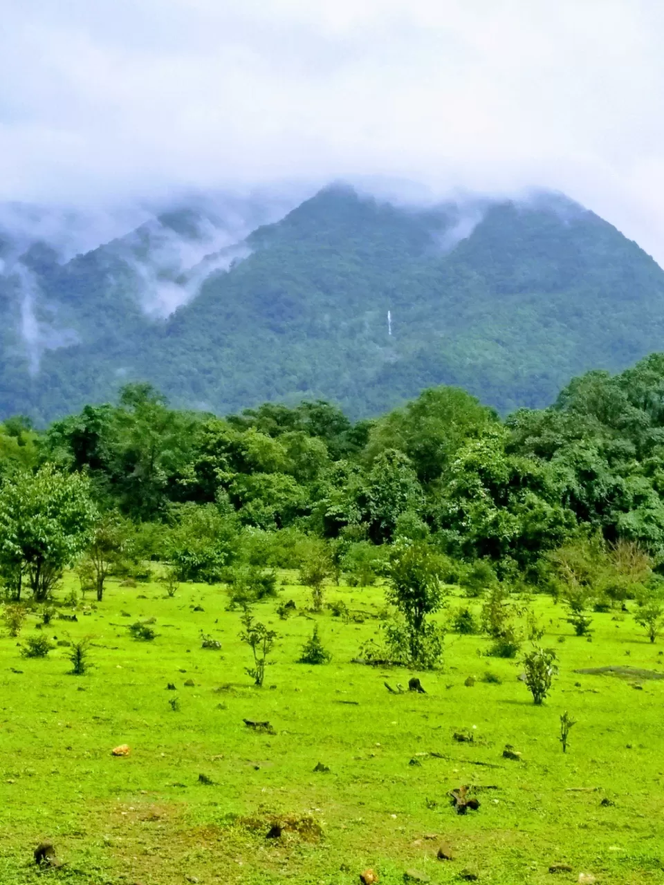 Photo of Kodachadri, Valur, Karnataka by Srinidhi Saralaya