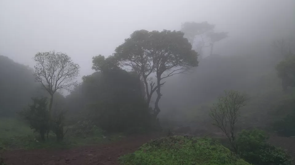 Photo of Kodachadri, Valur, Karnataka by Srinidhi Saralaya