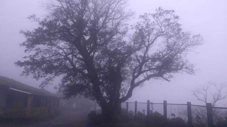 Photo of Kodachadri, Valur, Karnataka by Srinidhi Saralaya