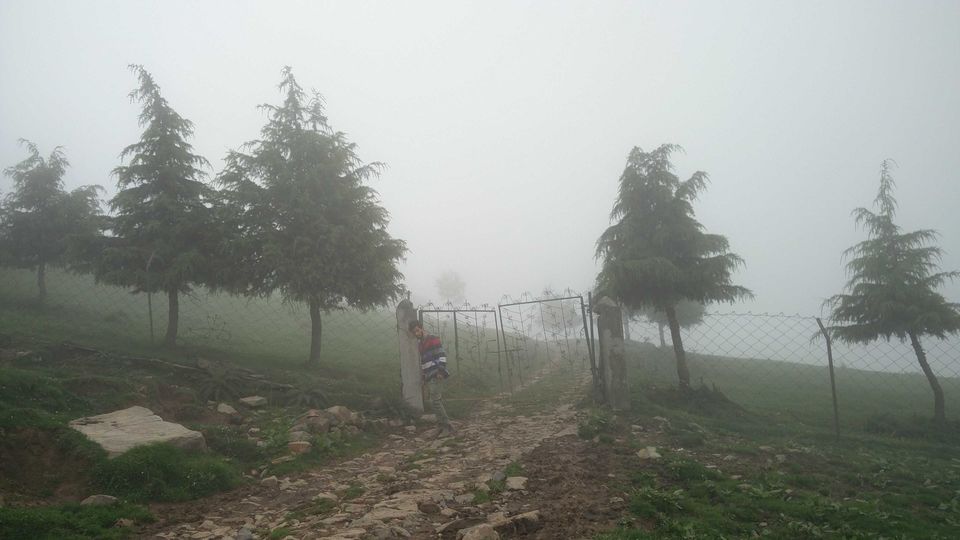 Photo of "Prashar Rishi" : A hidden secret lake of India by SillyHilly