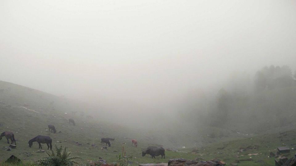 Photo of "Prashar Rishi" : A hidden secret lake of India by SillyHilly