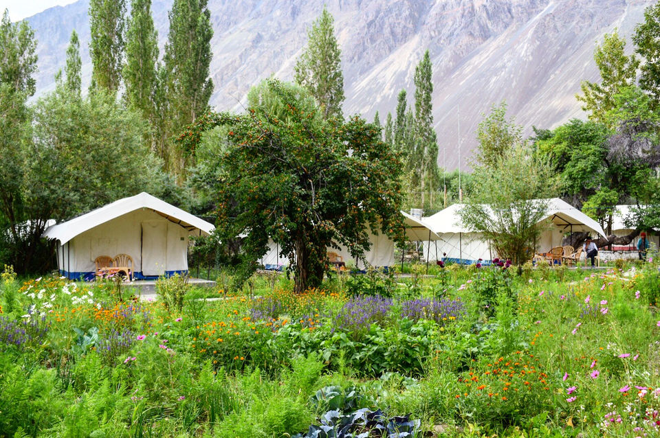Photo of LADAAAKH IS AMAZING Day 1 To Day 7 by Zahir Aslm bhat