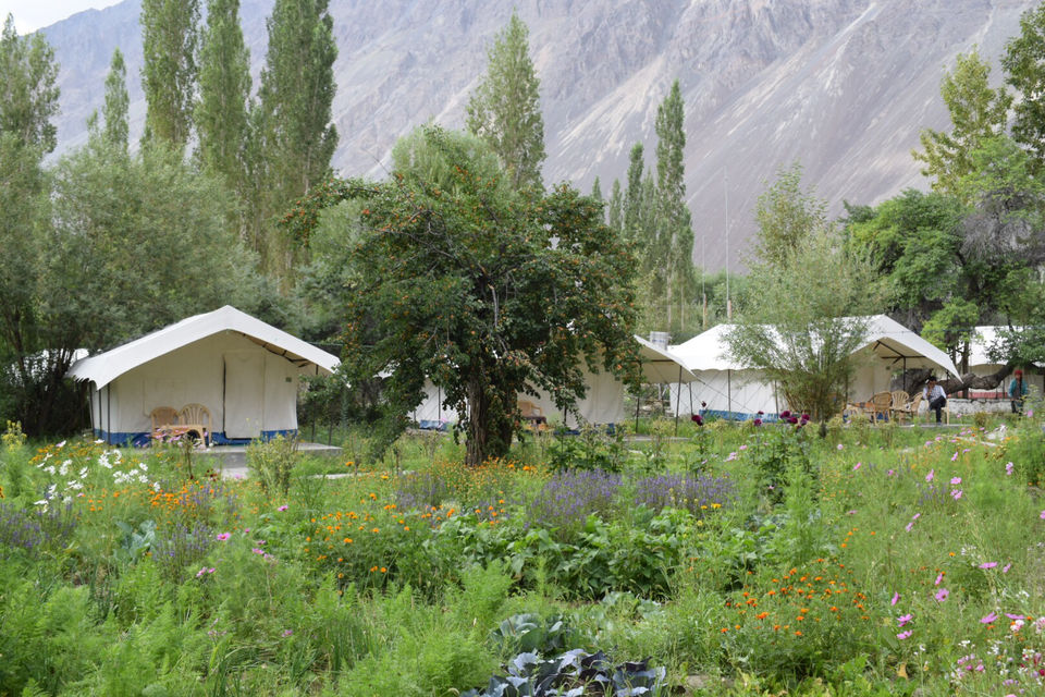 Photo of LADAAAKH IS AMAZING Day 1 To Day 7 by Zahir Aslm bhat