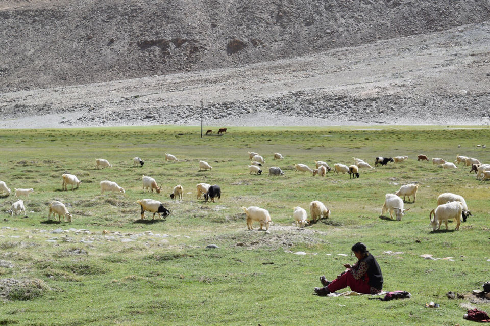 Photo of Ladaakh Is Amazing Day8 To Day 11 by Zahir Aslm bhat