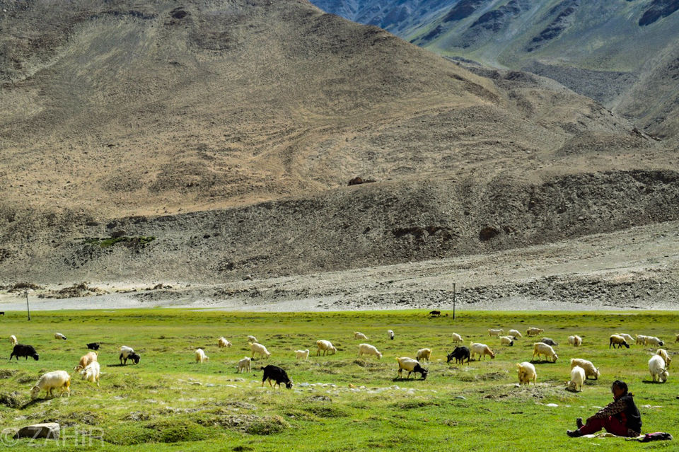 Photo of Ladaakh Is Amazing Day8 To Day 11 by Zahir Aslm bhat