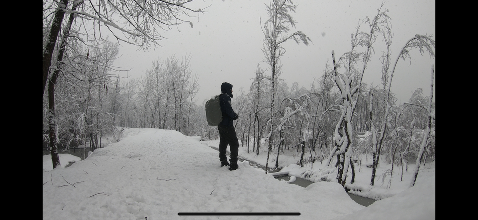 Photo of Walk In The Woods HOKERSAR by Zahir Aslm bhat