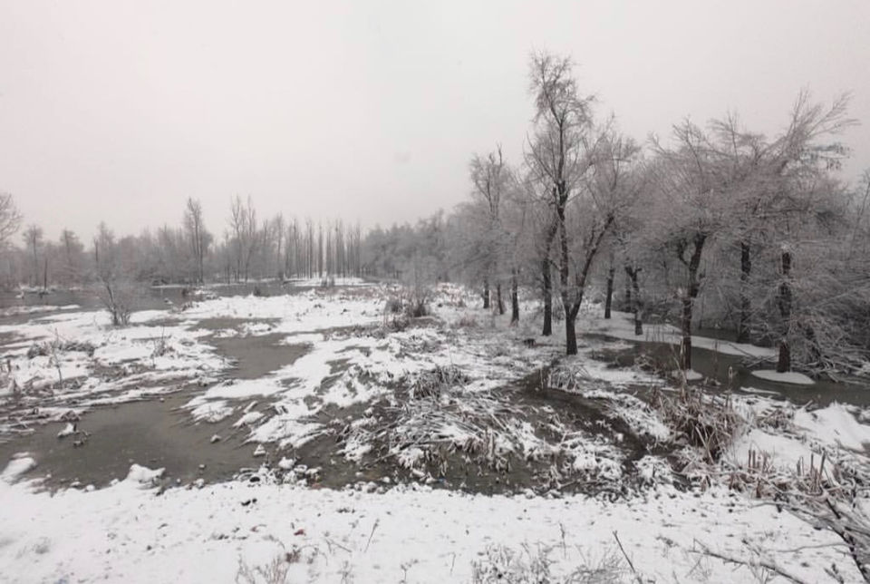 Photo of Walk In The Woods HOKERSAR by Zahir Aslm bhat