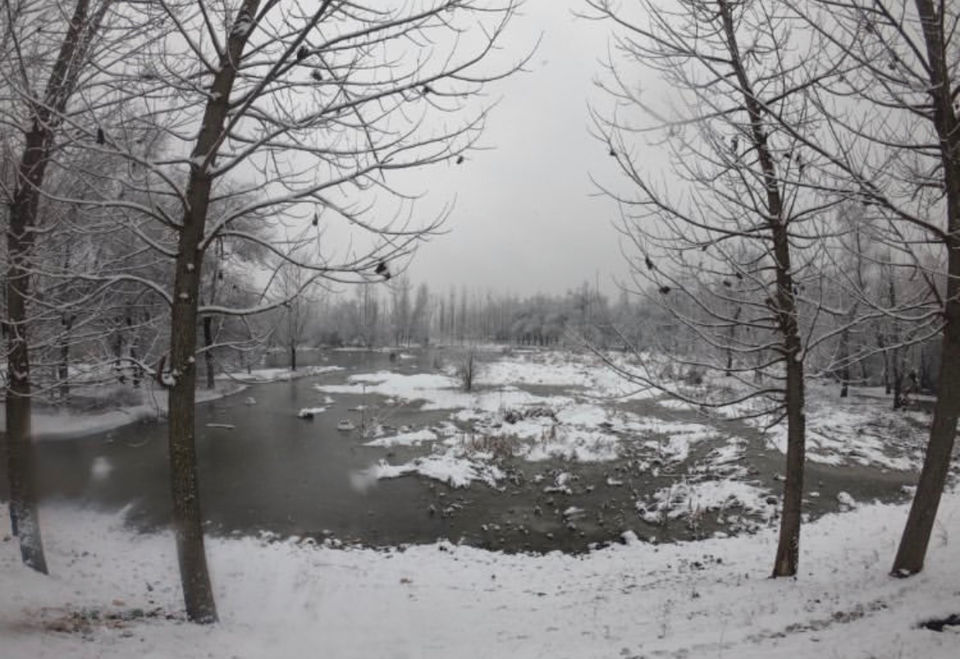 Photo of Walk In The Woods HOKERSAR by Zahir Aslm bhat
