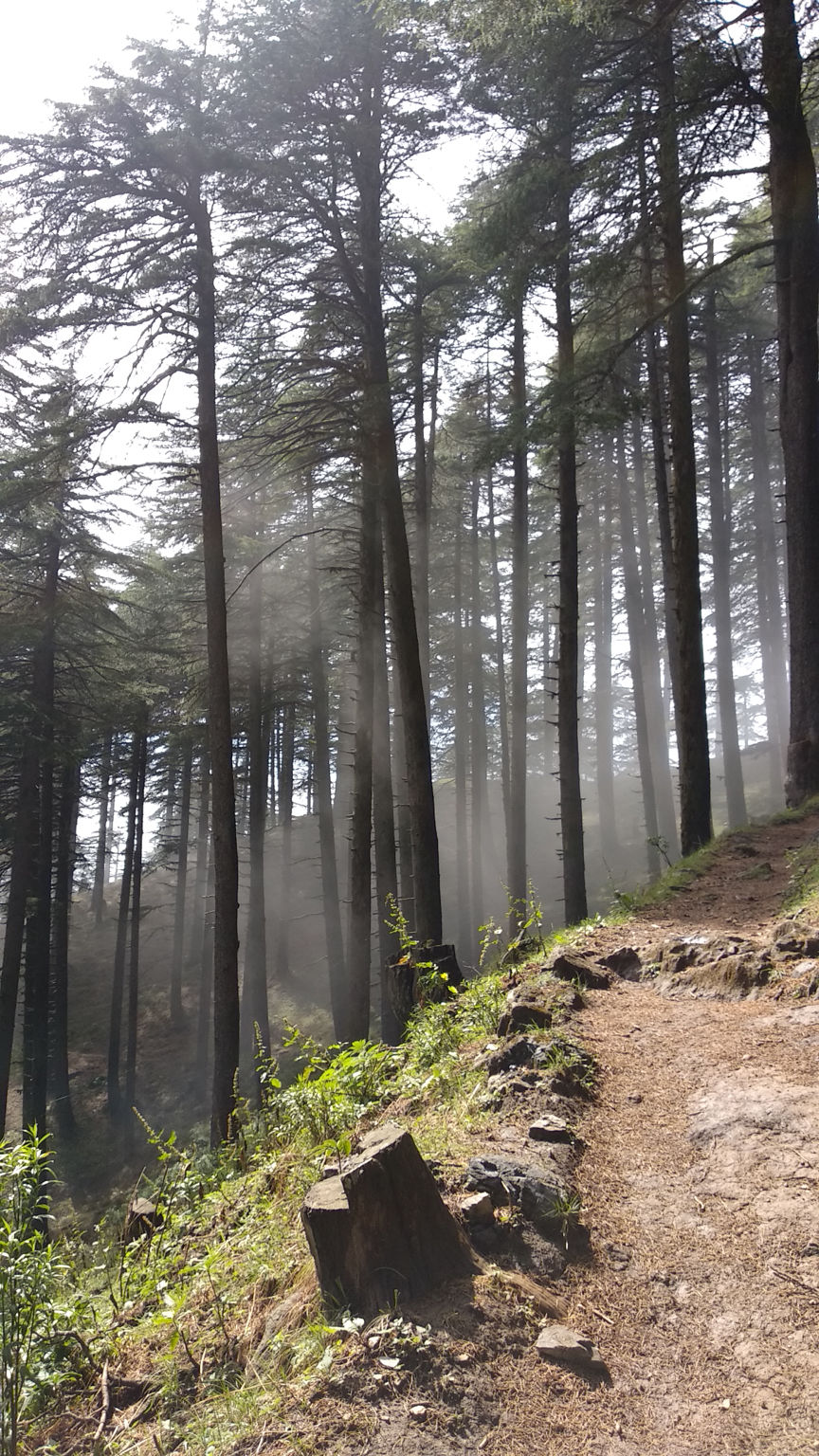 Photo of Chakrata, Uttarakhand, India by Isha Mallik