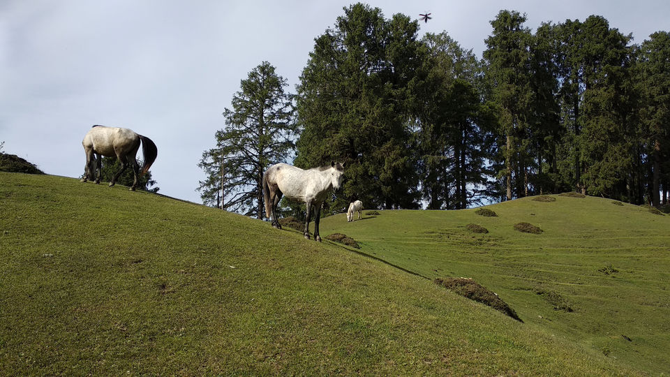 Photo of Chakrata, Uttarakhand, India by Isha Mallik