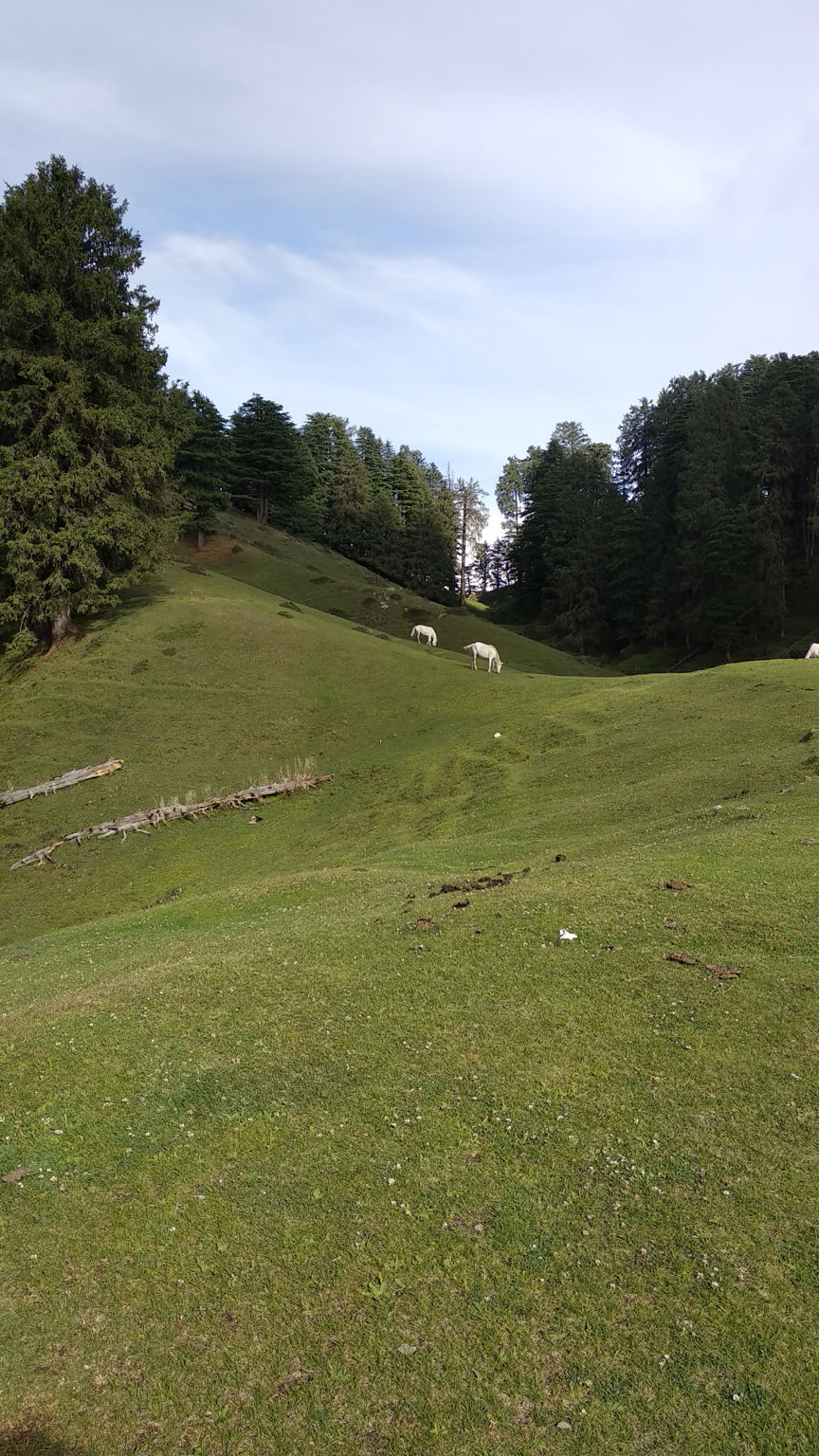 Photo of Chakrata, Uttarakhand, India by Isha Mallik