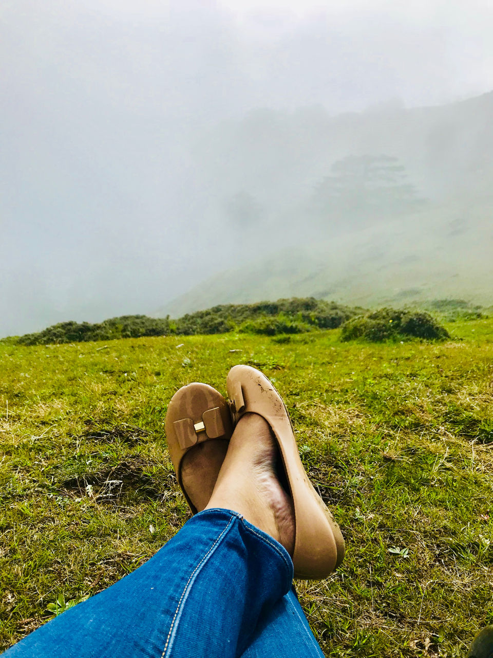 Photo of Chakrata, Uttarakhand, India by Isha Mallik