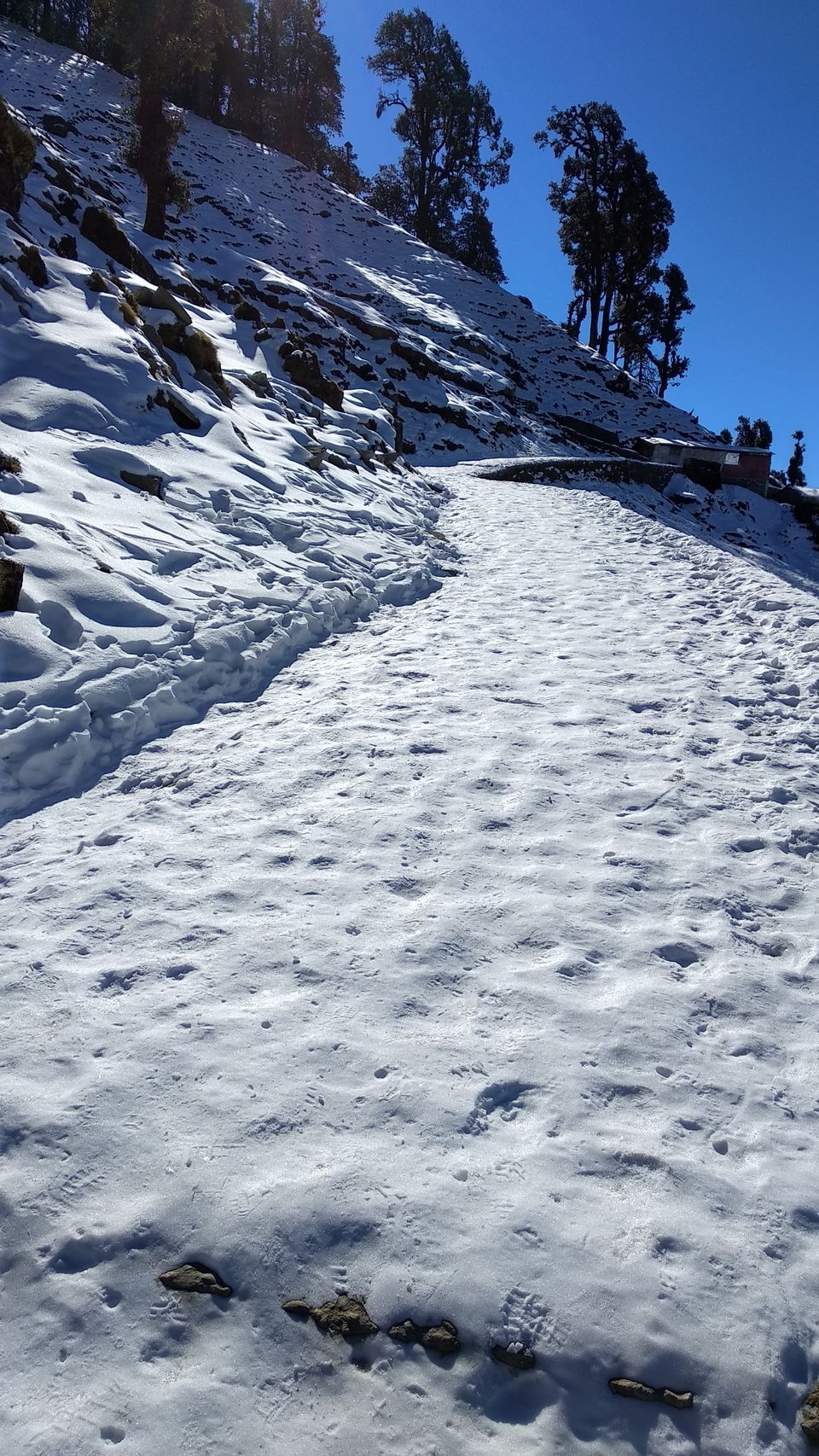 Photo of Chopta, Uttarakhand, India by Ayush Kumar