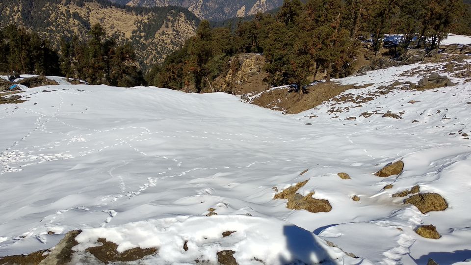 Photo of Chopta, Uttarakhand, India by Ayush Kumar
