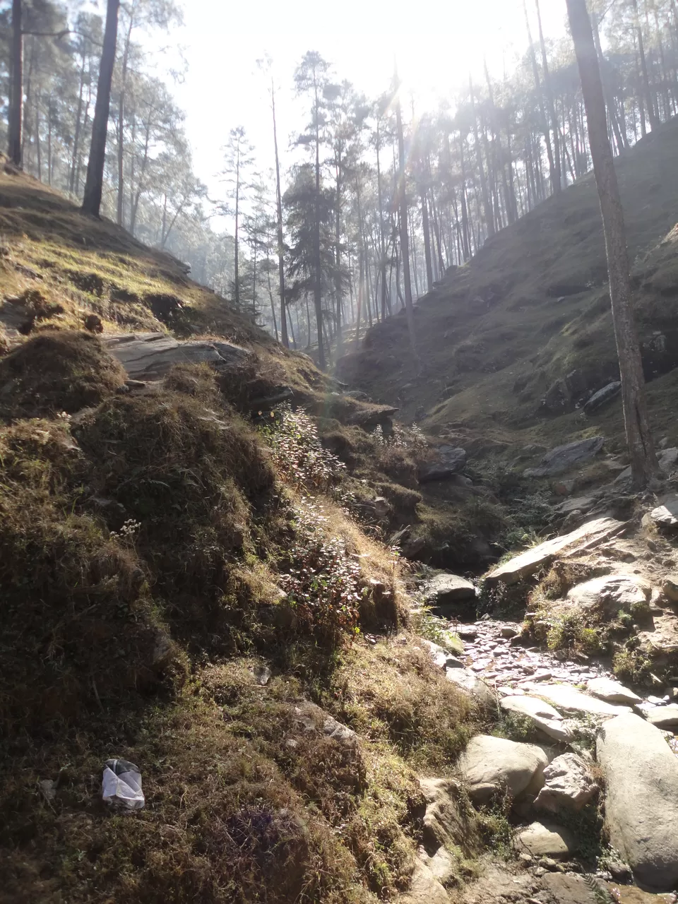 Photo of Almora, Uttarakhand, India by Ayush Kumar