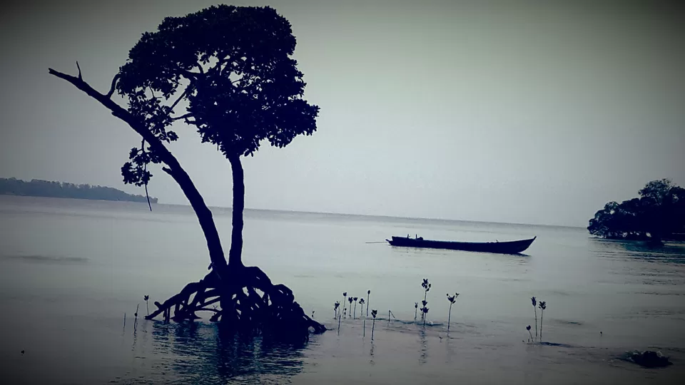 Photo of Swaraj Dweep By Srinidhi Kandi