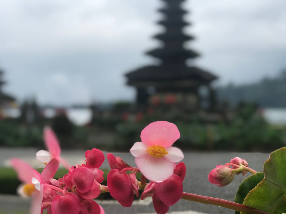 Photo of Bali, Indonesia by Lifeinaplatter