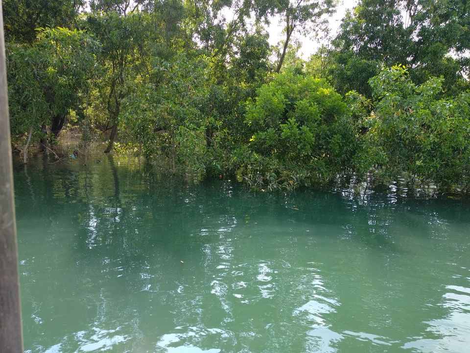 Photo of Sagara, Karnataka, India by Pooja Jaiwardhan