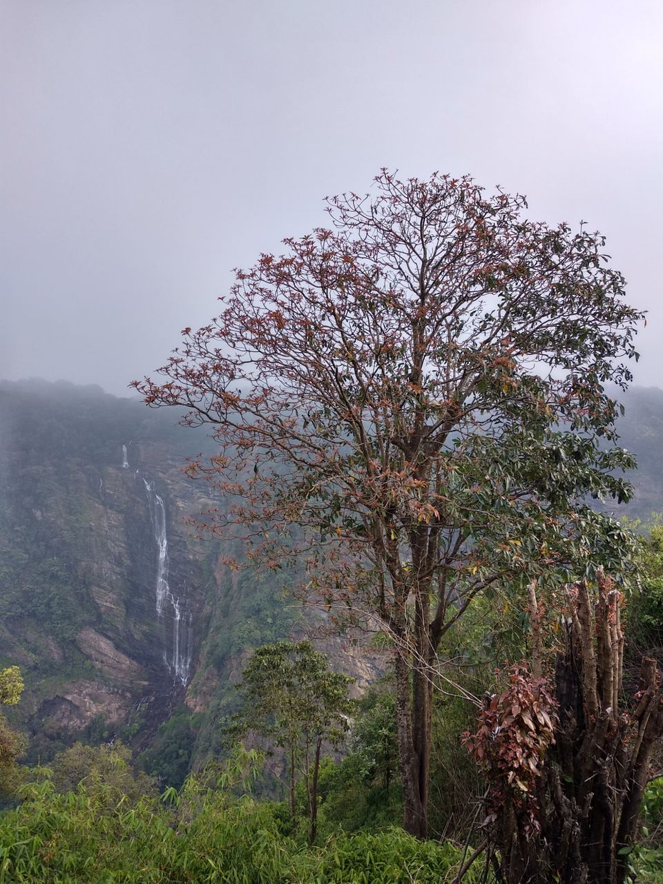 Photo of Jog Falls, Jog Falls, Karnataka, India by Pooja Jaiwardhan