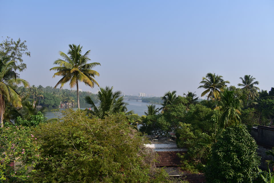 Photo of Last spring in Kerala by Bhrugu