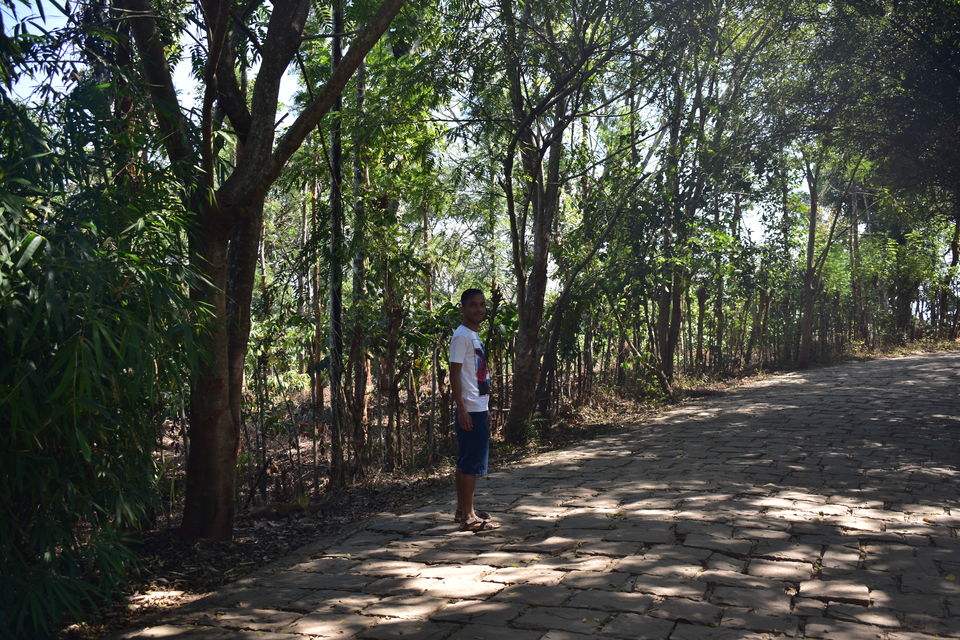 Photo of Wayanad, Kerala, India by Bhrugu