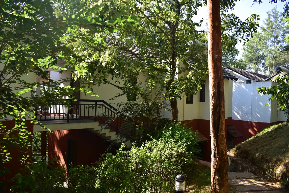 Photo of Wayanad, Kerala, India by Bhrugu