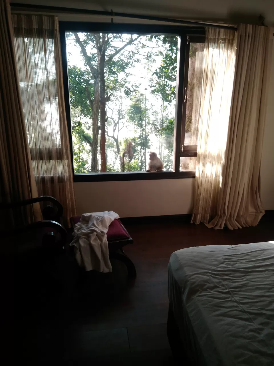 Photo of Wayanad, Kerala, India by Bhrugu