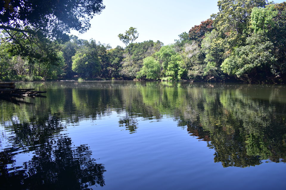 Photo of Last spring in Kerala by Bhrugu