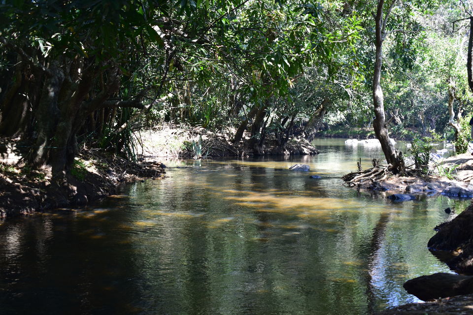 Photo of Last spring in Kerala by Bhrugu