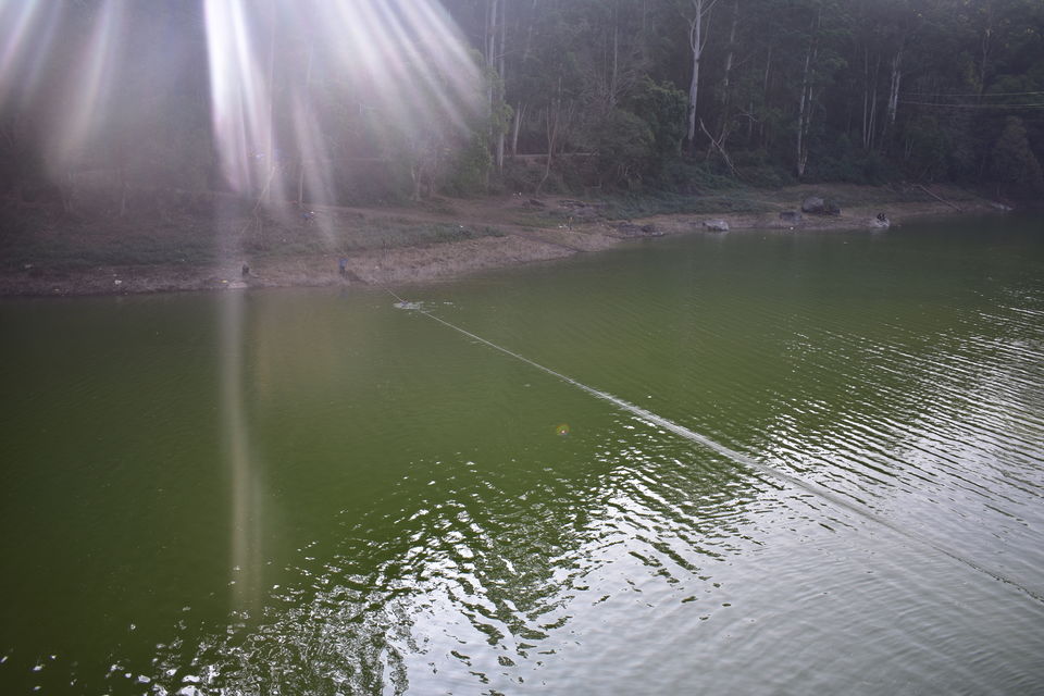 Photo of Last spring in Kerala by Bhrugu