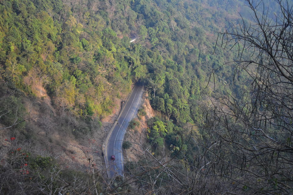 Photo of Last spring in Kerala by Bhrugu
