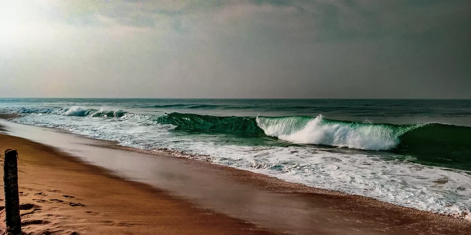 Photo of The Lesser Known Backwaters of Poovar. A Bird Watcher's Paradise!! #TheBlues by thewanderjoy