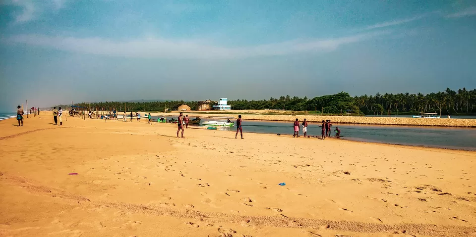 Photo of The Lesser Known Backwaters of Poovar. A Bird Watcher's Paradise!! #TheBlues by thewanderjoy