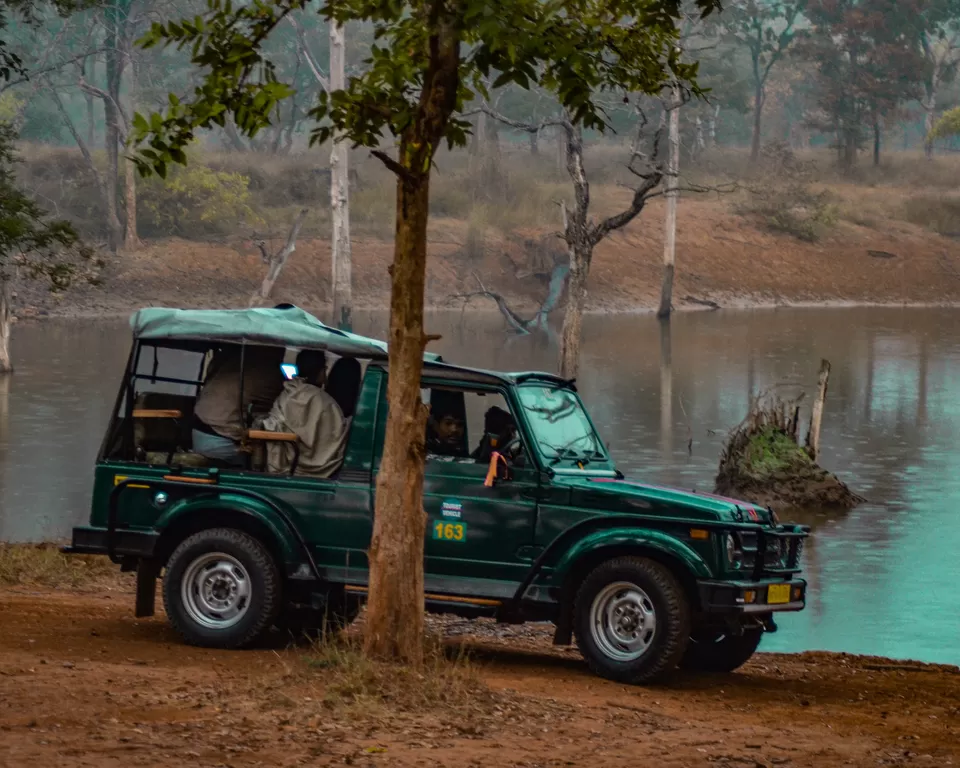 Photo of Bandhavgarh Tiger Reserve, Kila Bandhogarh, Madhya Pradesh, India by thewanderjoy