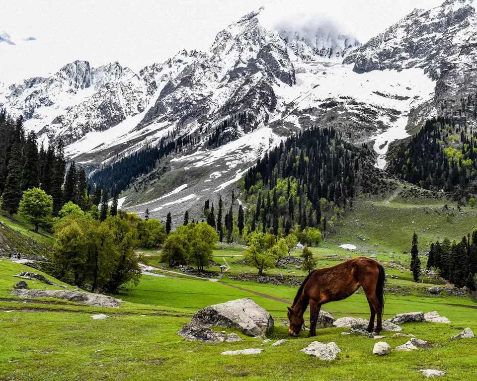 Photo of Sonamarg by thewanderjoy