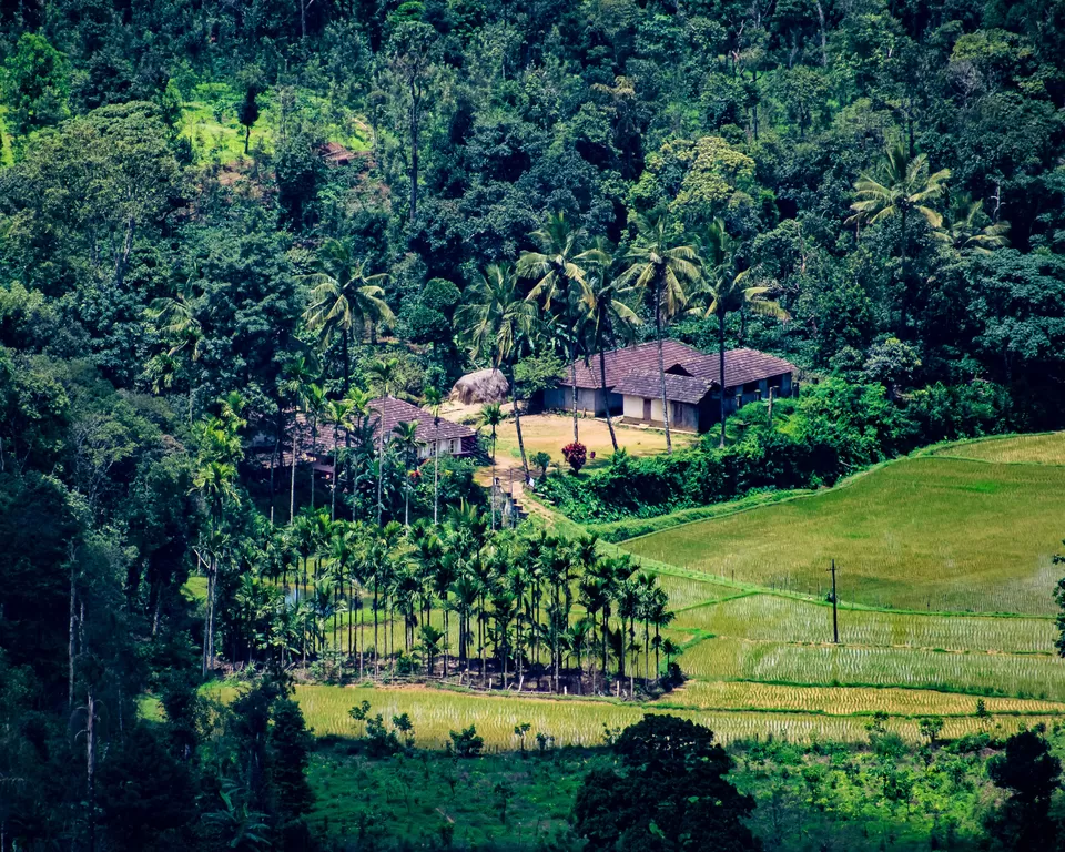 Photo of Coorg, Karnataka, India by thewanderjoy