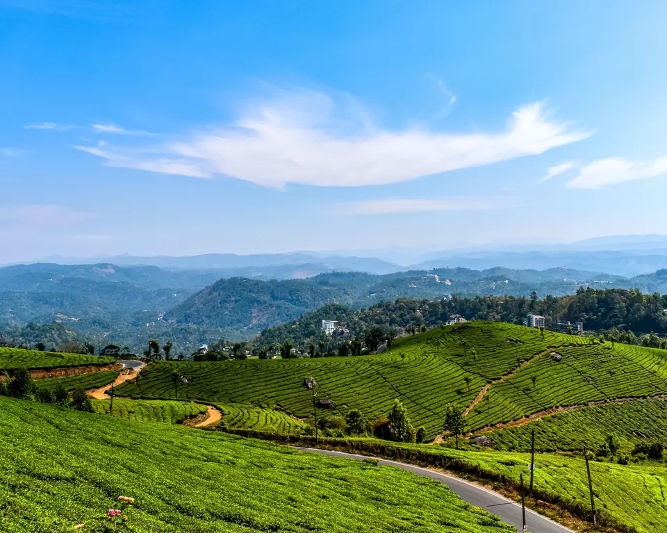 Photo of Munnar, Kerala, India by thewanderjoy