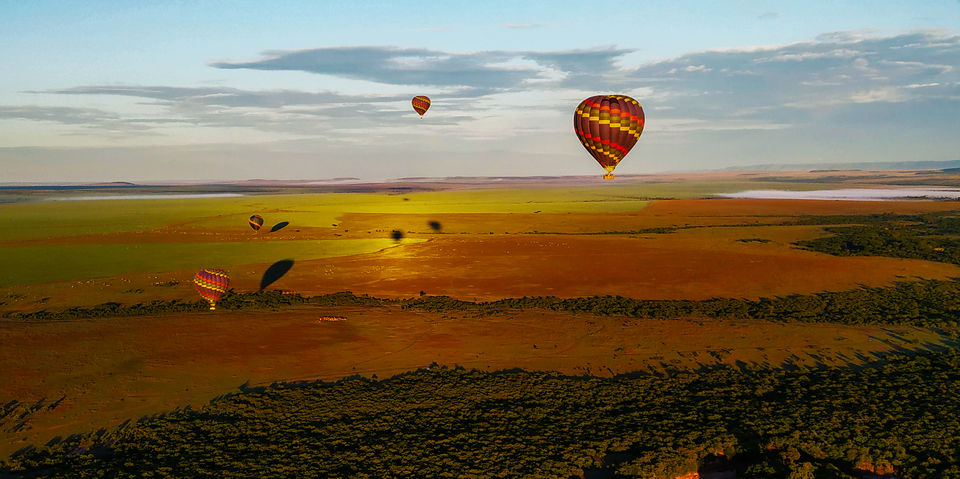 Photo of Want A Bird’s Eye View of Tiger Territory? Go on a Hot Air Balloon Ride Over Bandhavgarh! by thewanderjoy