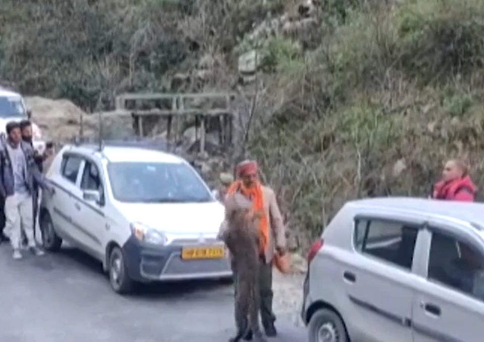 Photo of In Video: Lion Checks into a Hotel In Junagadh! 3/3 by thewanderjoy